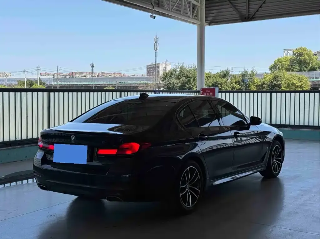 BMW 5 Series (Import) 2021 из CN, фото 5