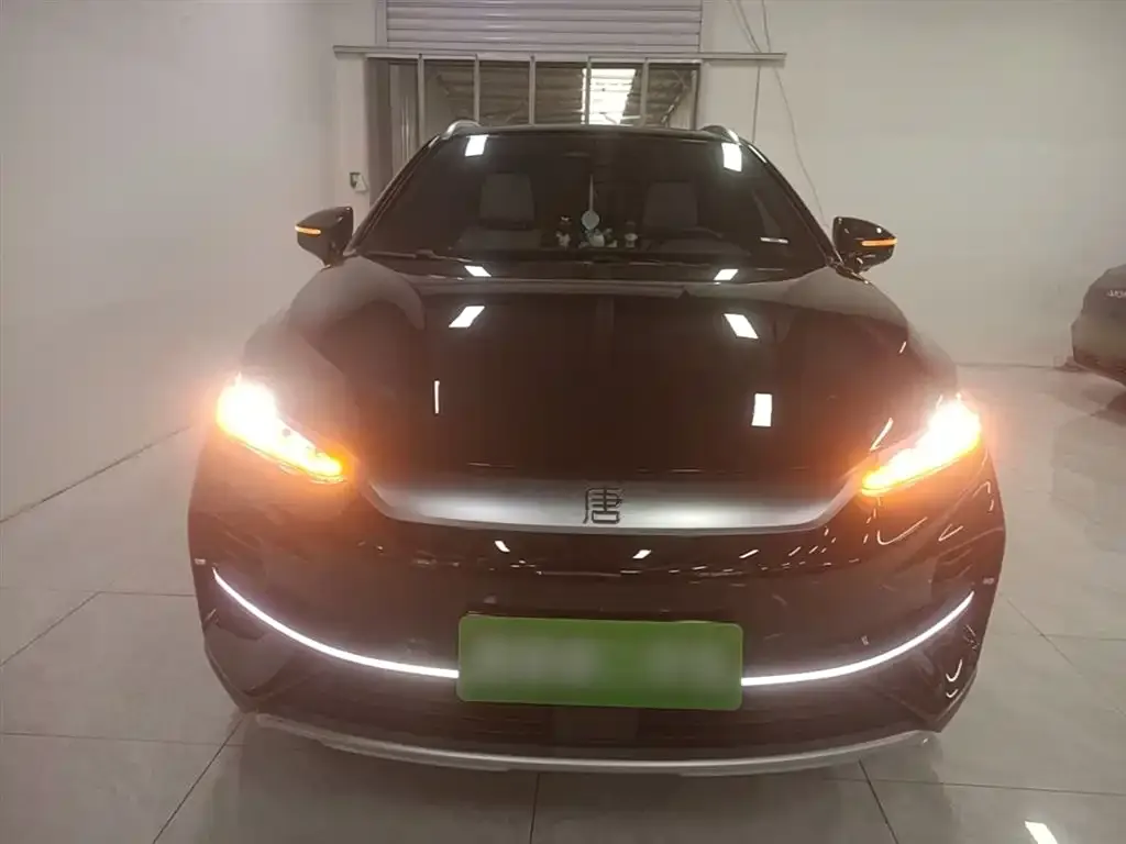 BYD Tang New Energy 2024 из CN, фото 2
