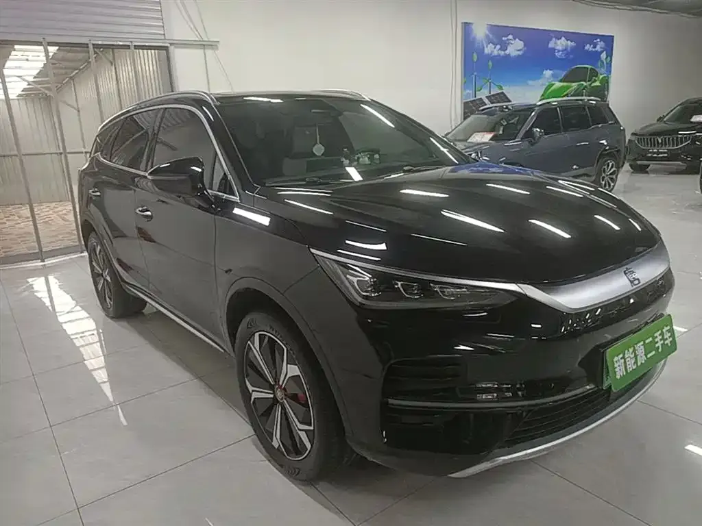BYD Tang New Energy 2024 из CN, фото 9
