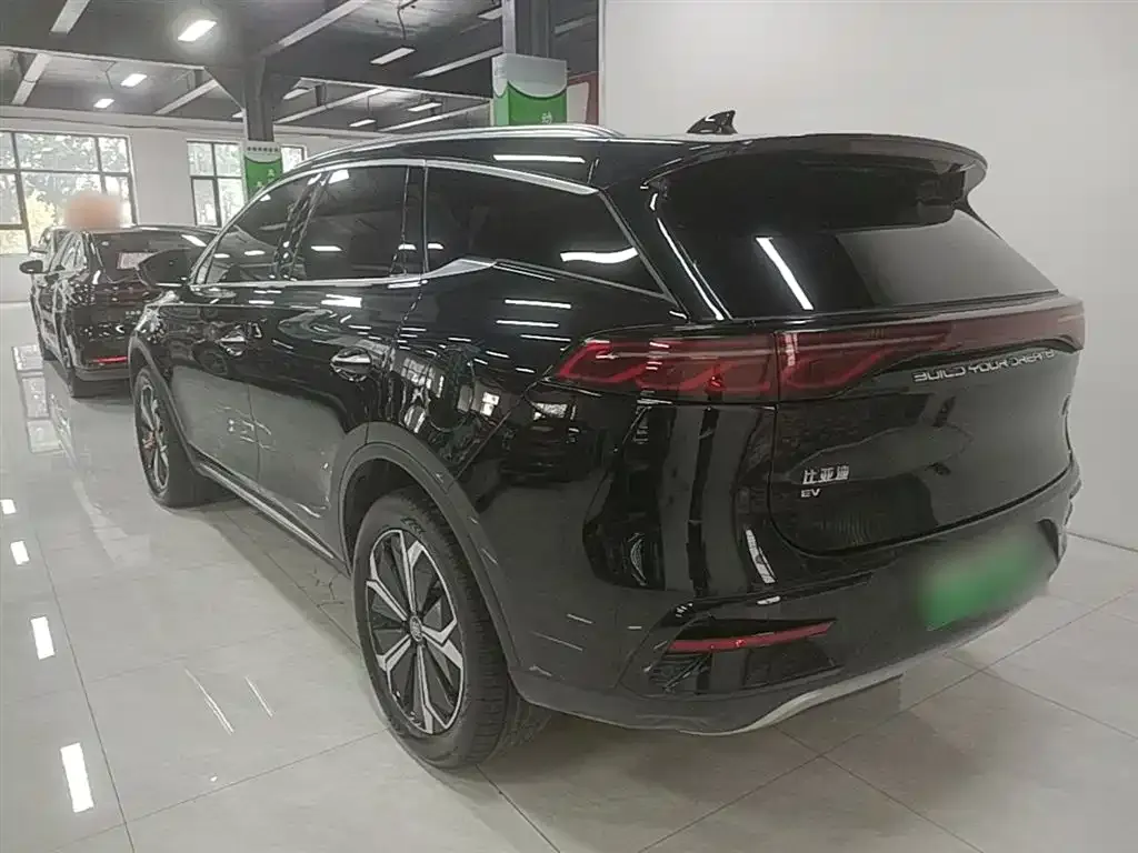 BYD Tang New Energy 2024 из CN, фото 10