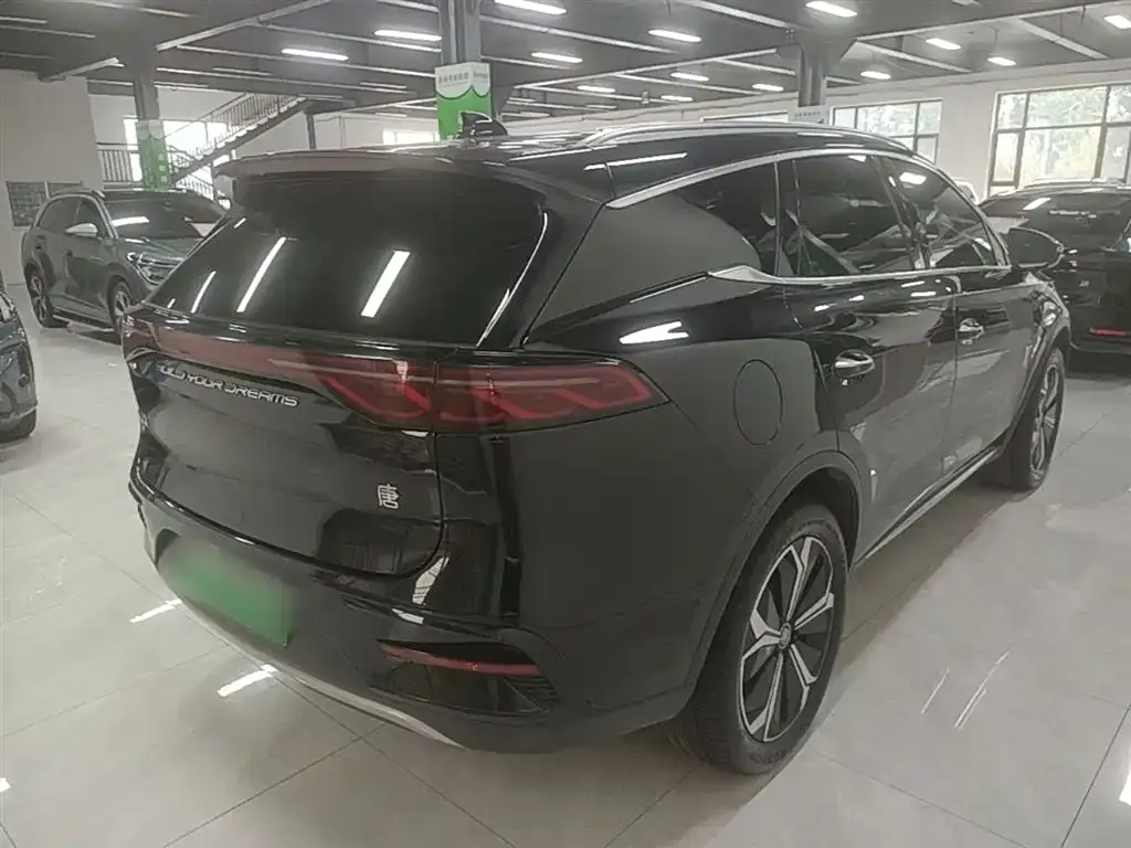 BYD Tang New Energy 2024 из CN, фото 8