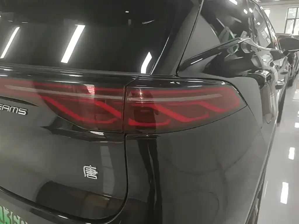 BYD Tang New Energy 2024 из CN, фото 6