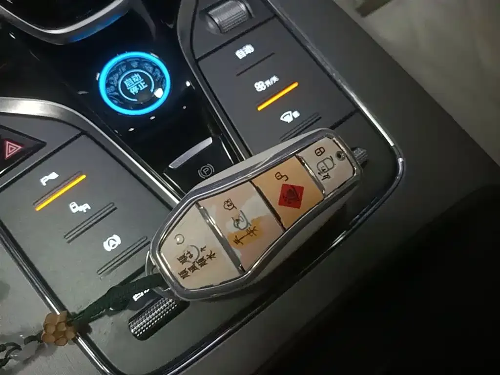 BYD Tang New Energy 2024 из CN, фото 4