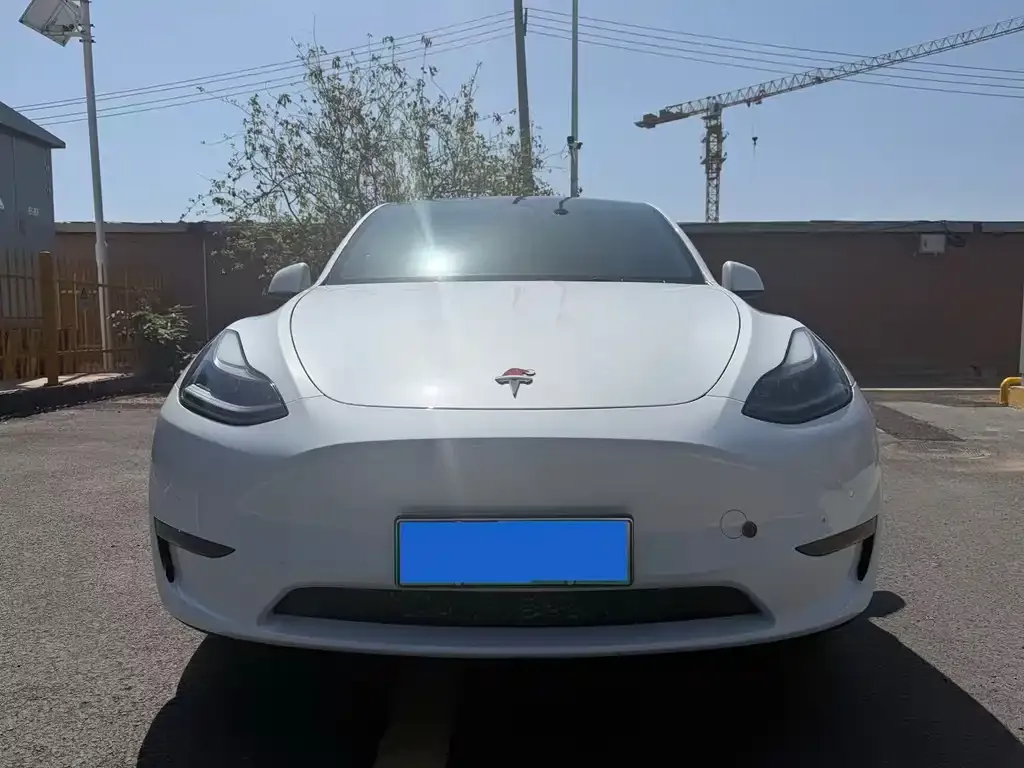 Tesla Model Y — фото 4