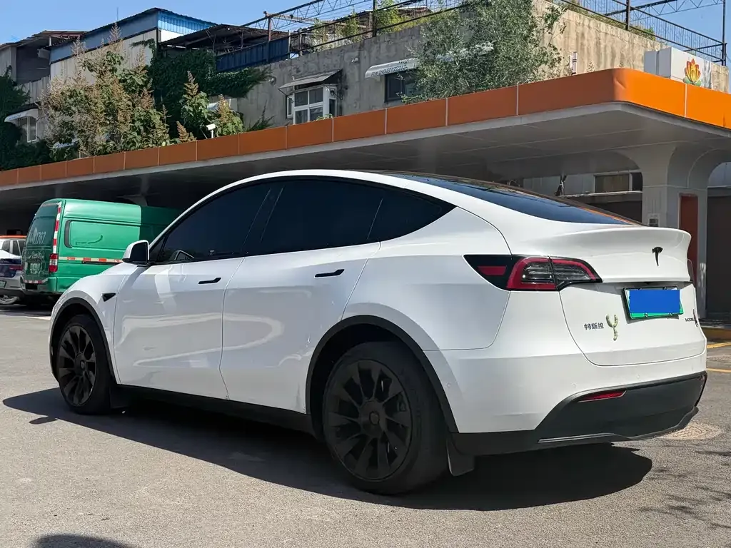 Tesla Model Y — фото 9