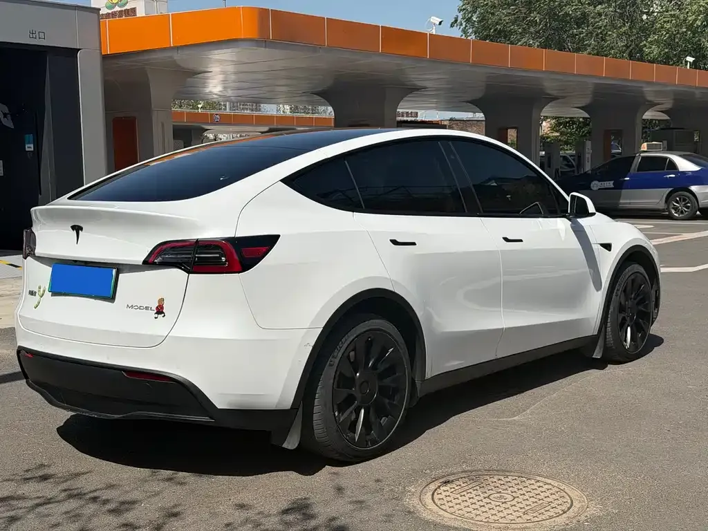 Tesla Model Y — фото 5