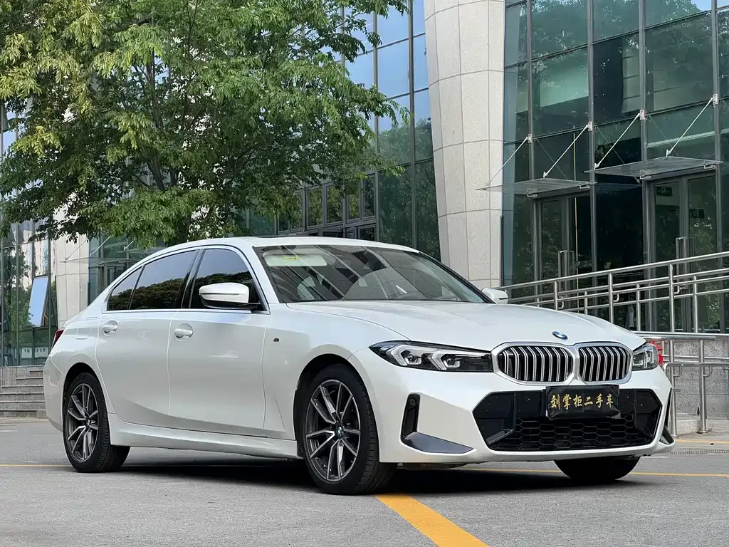 BMW 3 Series 2023 из CN, фото 5
