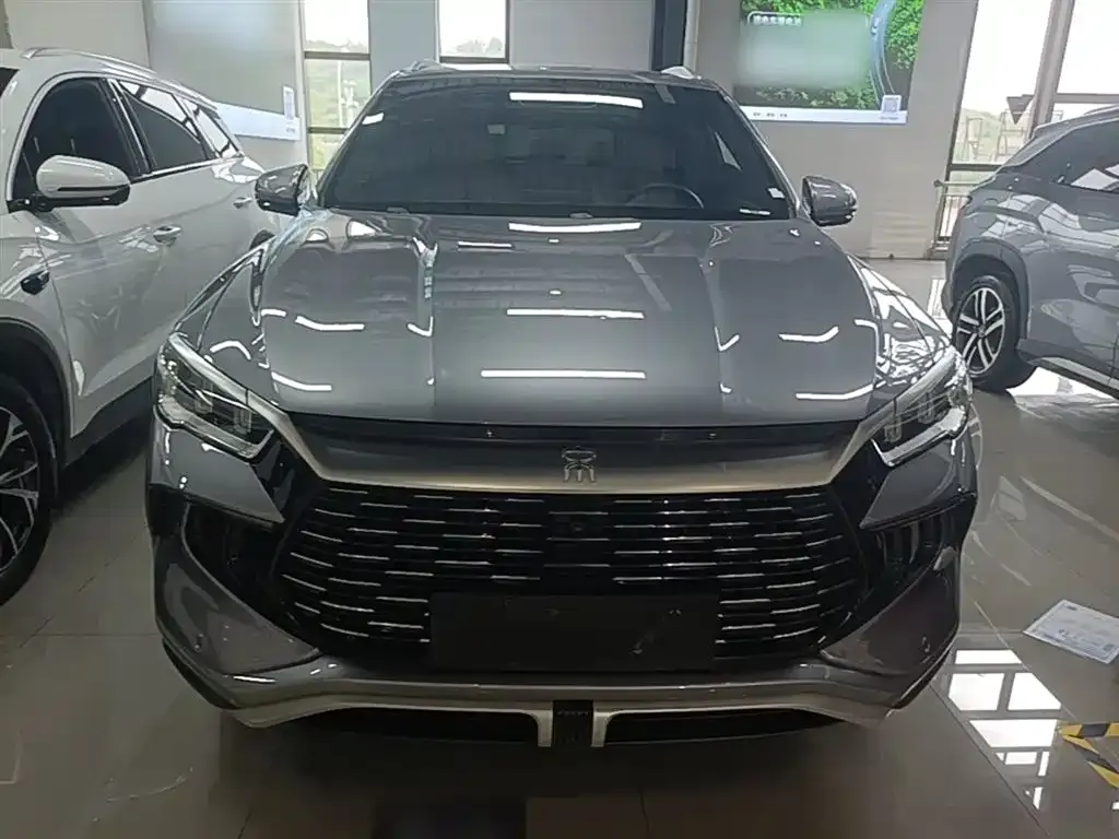 BYD Pro New Energy — фото 4