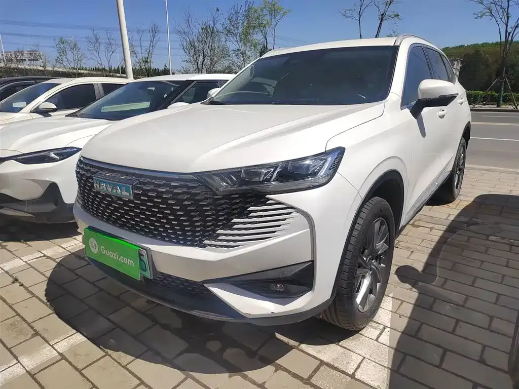 Haval H6 New Energy 2022 из CN, фото 7