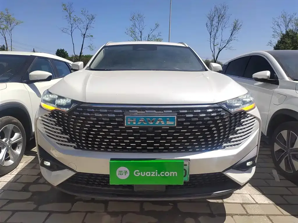 Haval H6 New Energy 2022 из CN, фото 6