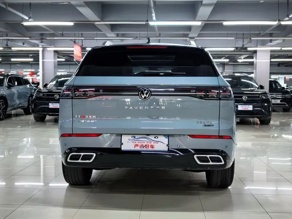 Volkswagen Tavendor 2023 из CN, фото 4