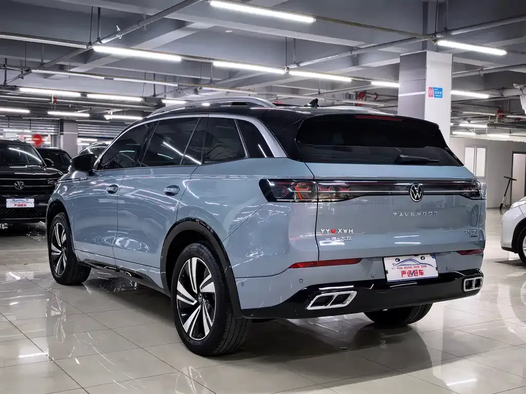 Volkswagen Tavendor 2023 из CN, фото 2