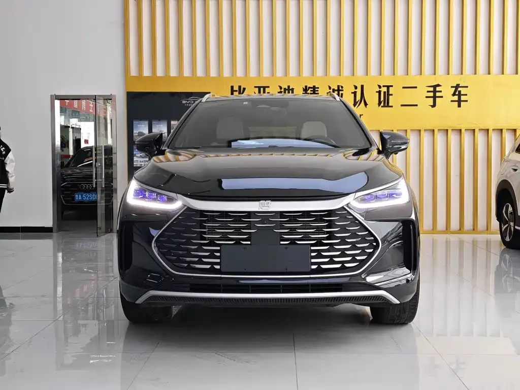 BYD Tang New Energy — фото 7