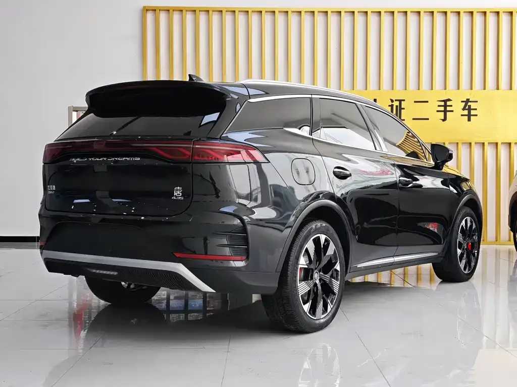 BYD Tang New Energy — фото 5