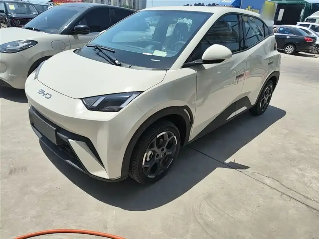 BYD Seagull