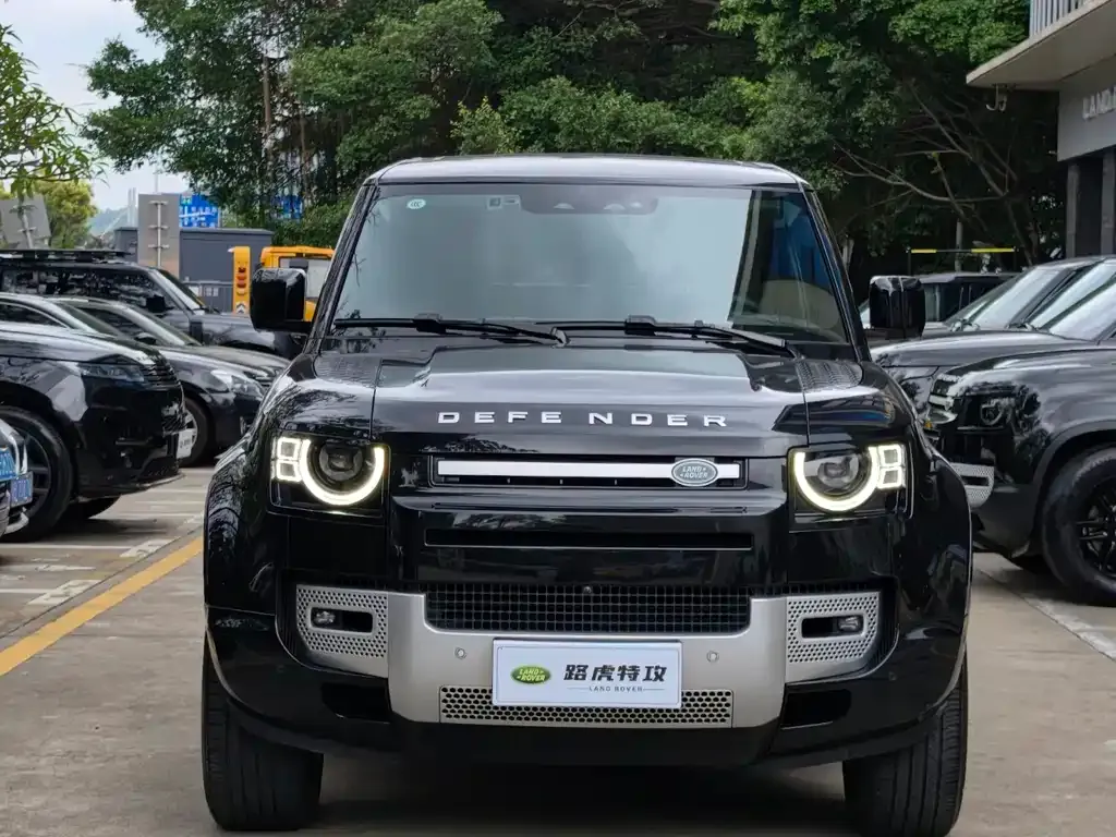 Land Rover Defender 2023 из CN, фото 6