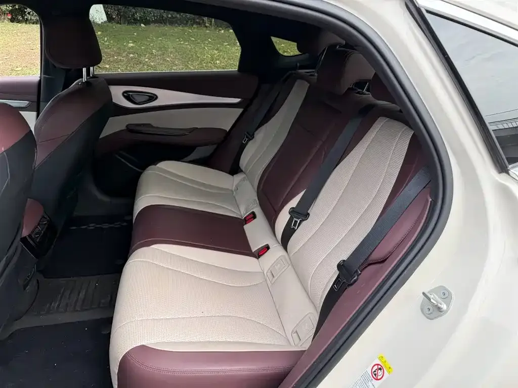 BYD Seal 07 DM-i 2024 из CN, фото 2