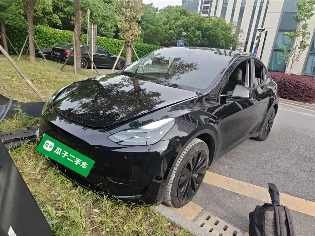 Tesla Model Y — фото 1