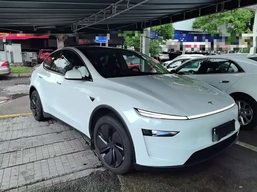 Tesla Model Y — фото 10