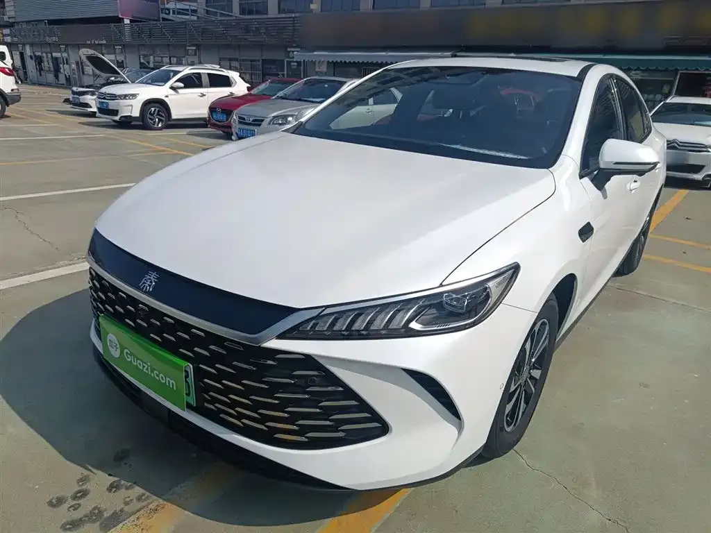 BYD Qin PLUS — фото 1
