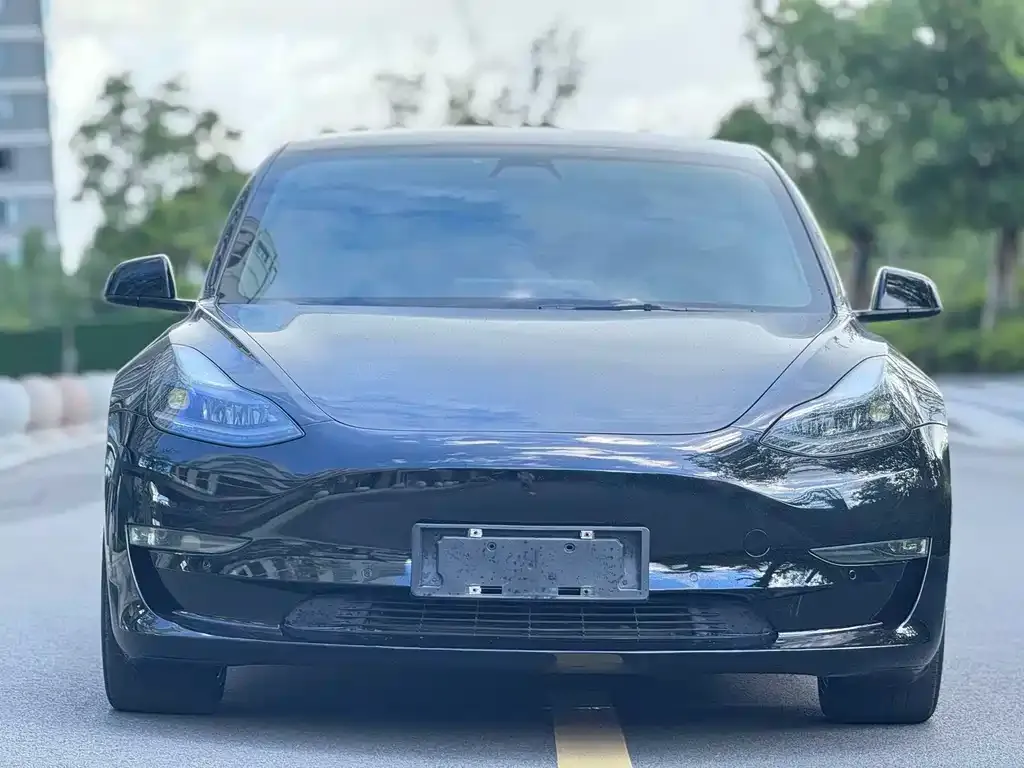 Tesla Model 3 — фото 2