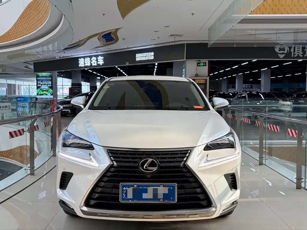 Lexus NX 2021 из CN, фото 10