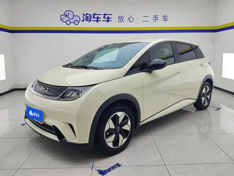 BYD Dolphin 2024 из CN, фото 1