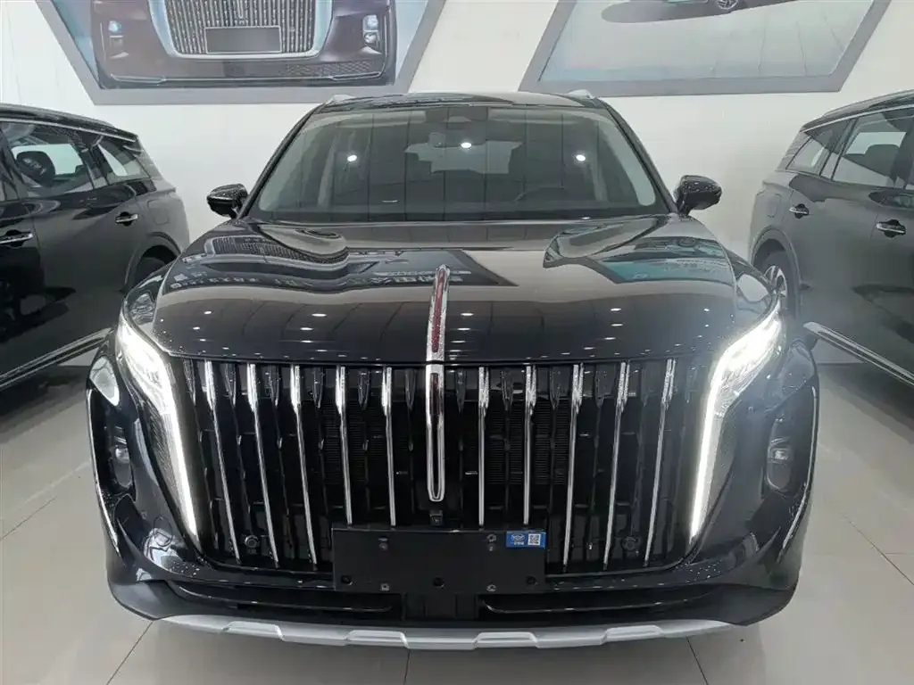 Hongqi HS7 PHEV 2024 из CN, фото 7