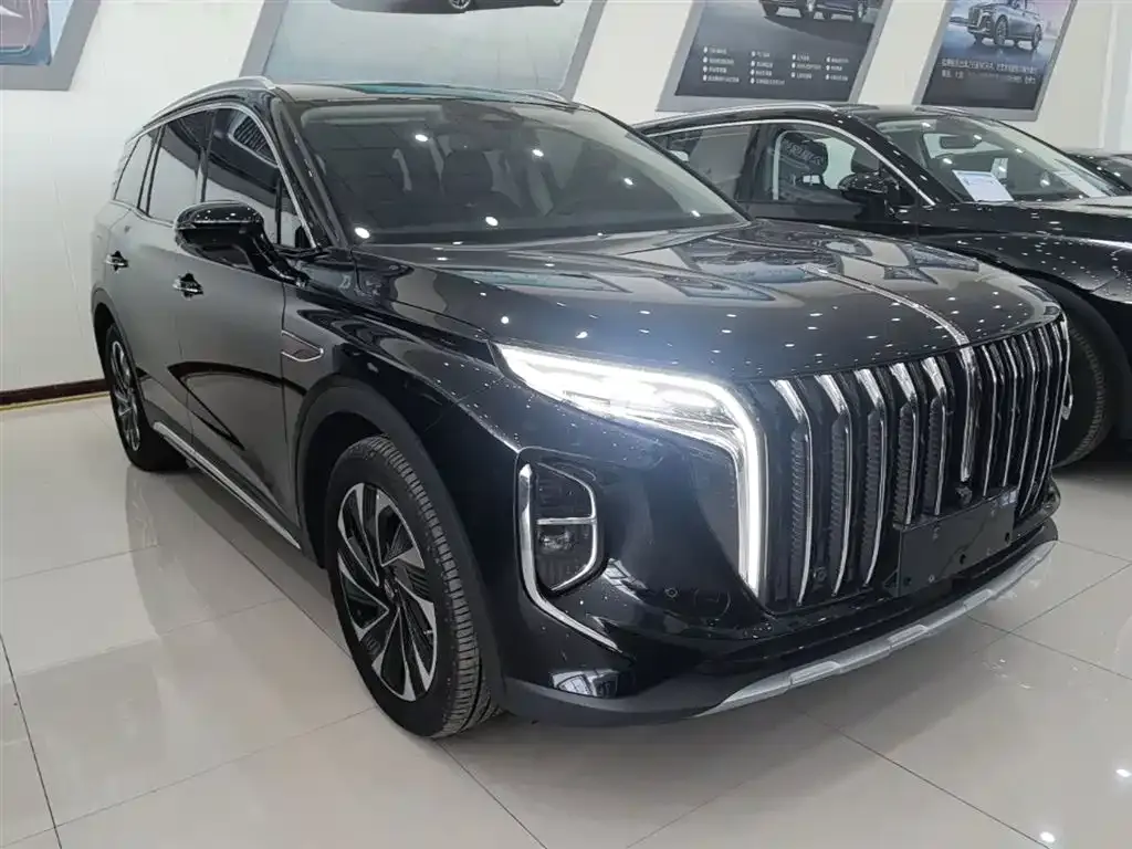 Hongqi HS7 PHEV 2024 из CN, фото 8