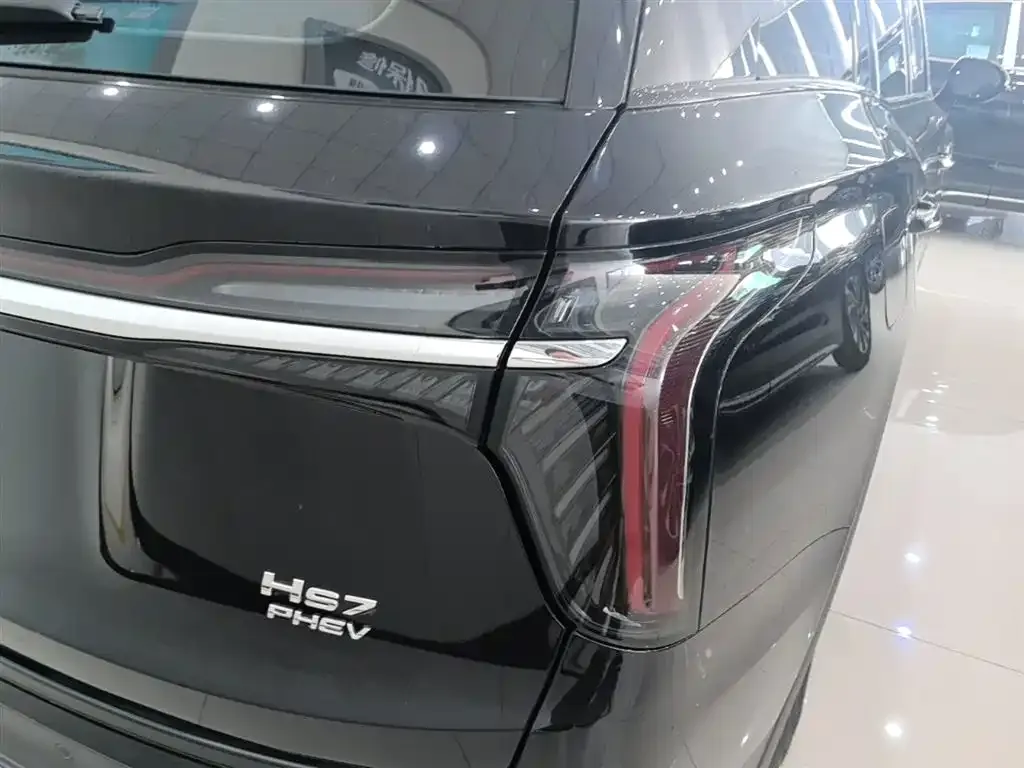 Hongqi HS7 PHEV 2024 из CN, фото 2