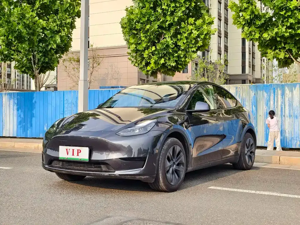 Tesla Model Y — фото 1