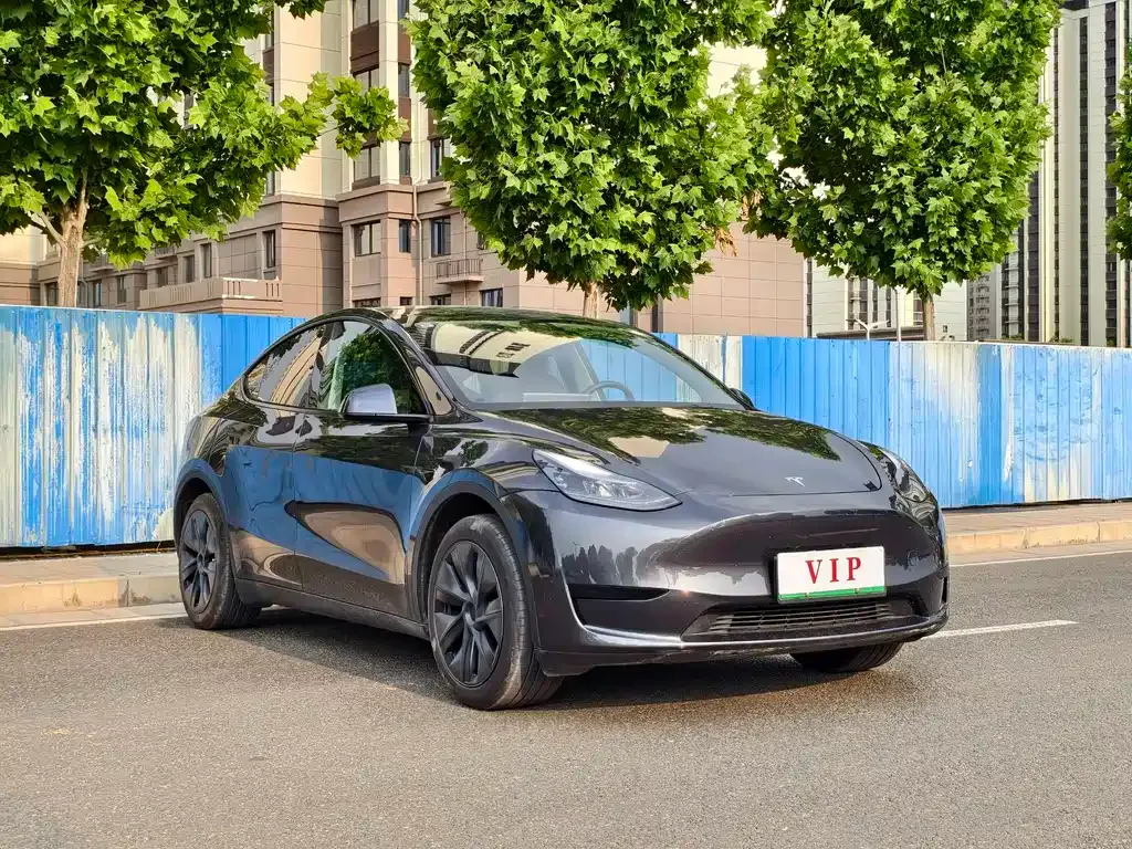 Tesla Model Y — фото 7