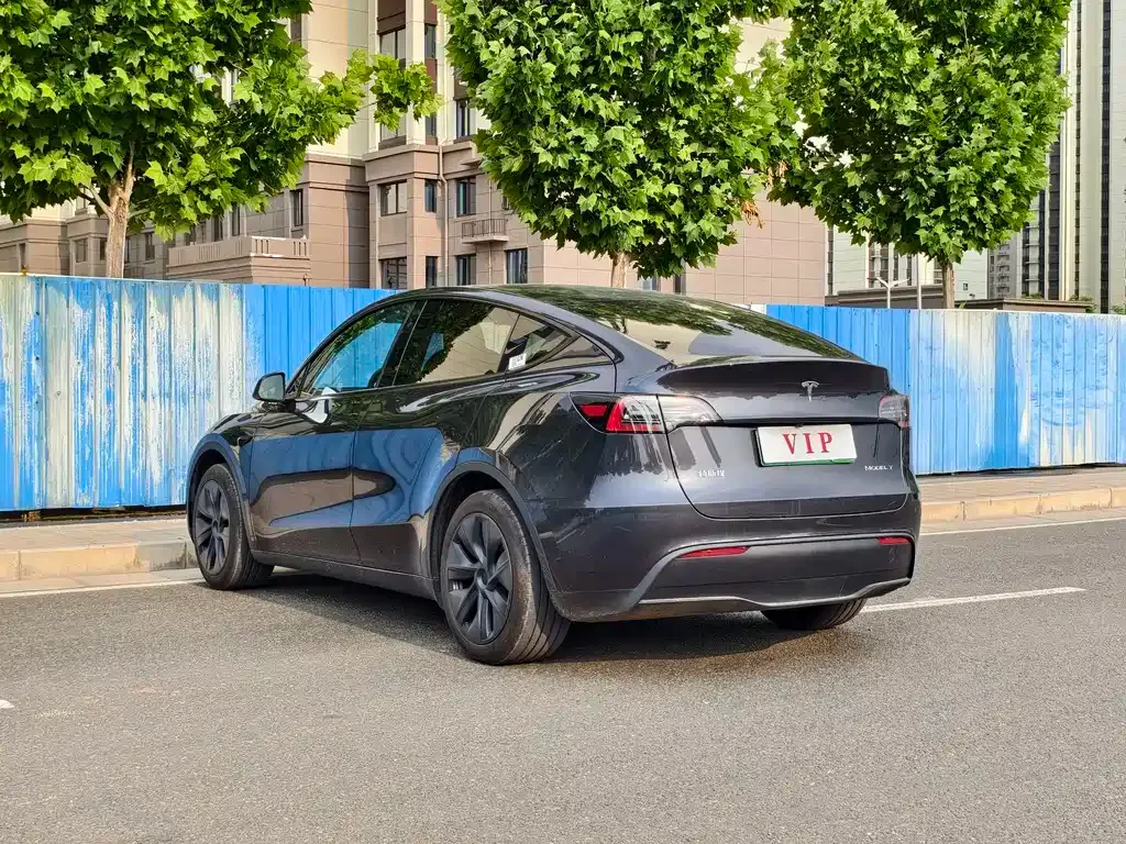 Tesla Model Y — фото 3