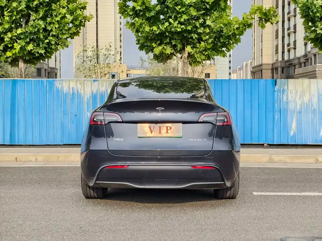 Tesla Model Y — фото 4