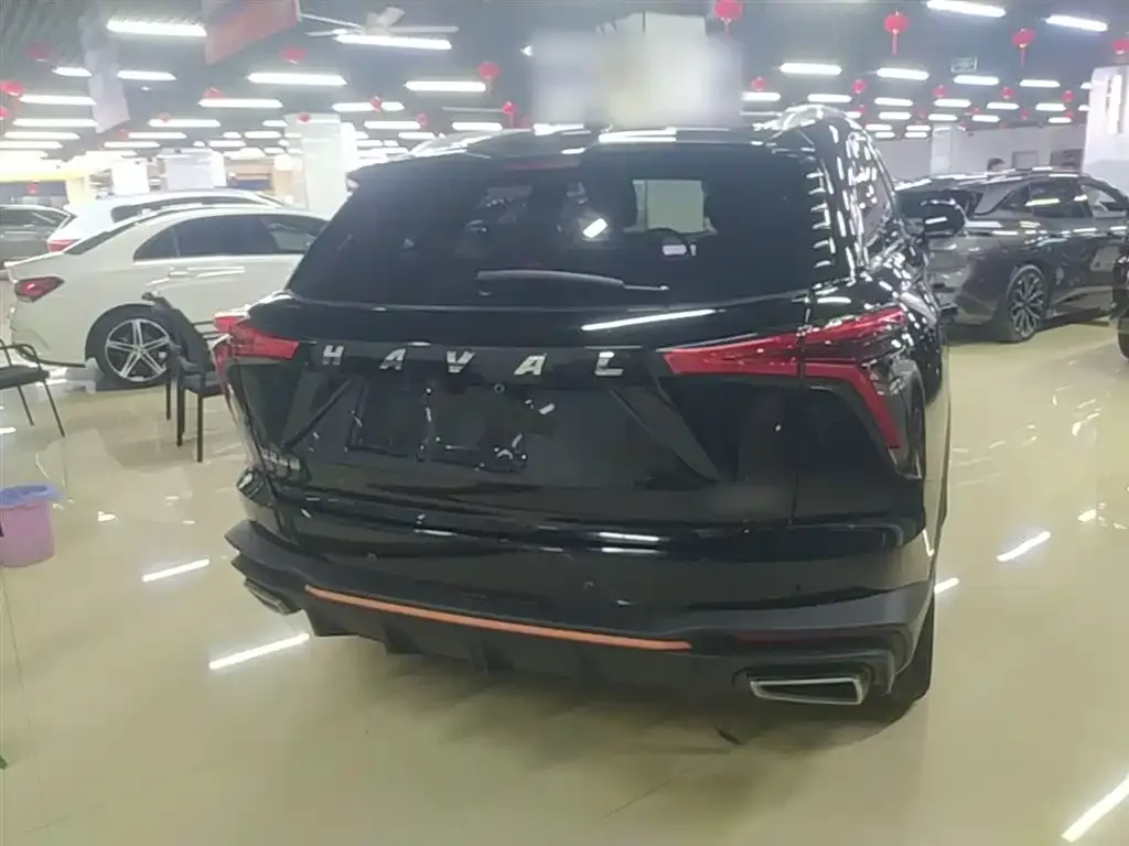 Haval Shenshou 2022 из CN, фото 4