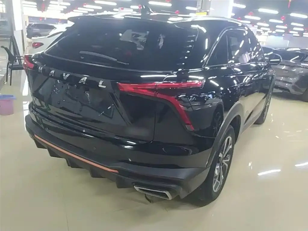 Haval Shenshou 2022 из CN, фото 5