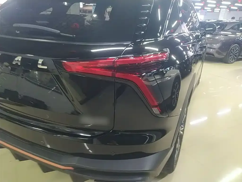 Haval Shenshou 2022 из CN, фото 2