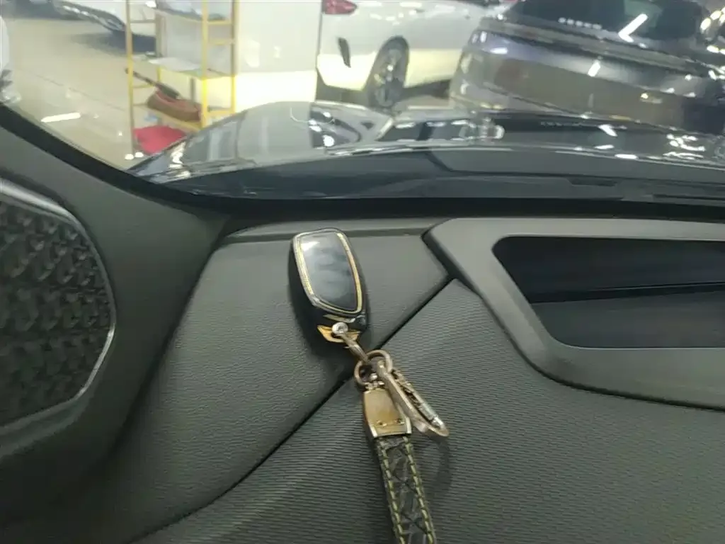 Haval Shenshou 2022 из CN, фото 3