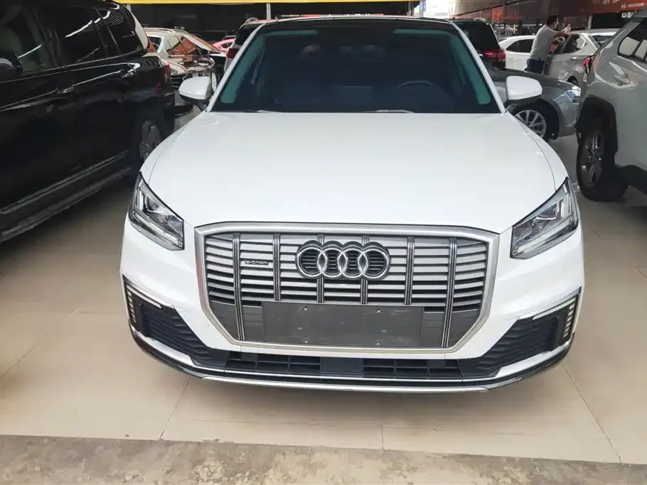 Audi Q2L e-tron 2021 из CN, фото 8