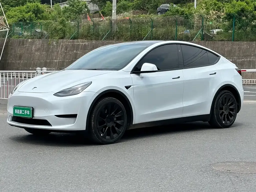 Tesla Model Y — фото 1