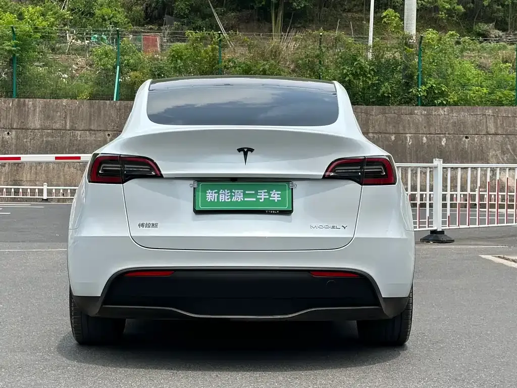 Tesla Model Y — фото 10