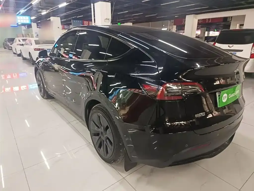 Tesla Model Y — фото 10