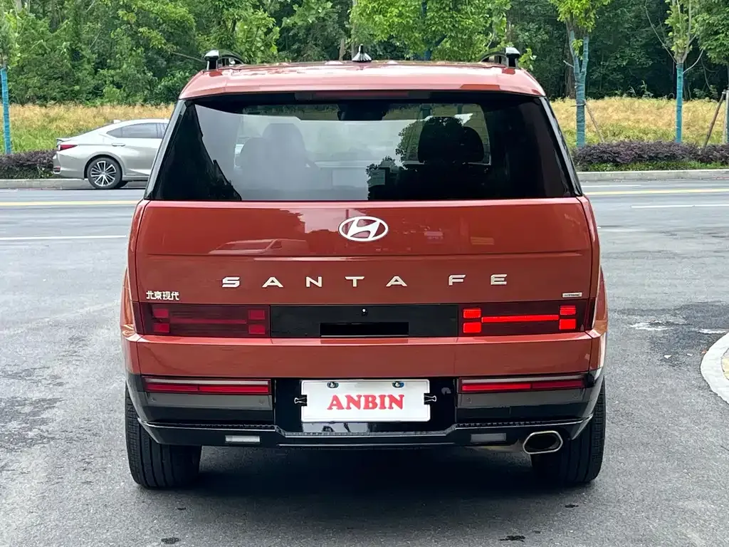 Hyundai Santa Fe — фото 6