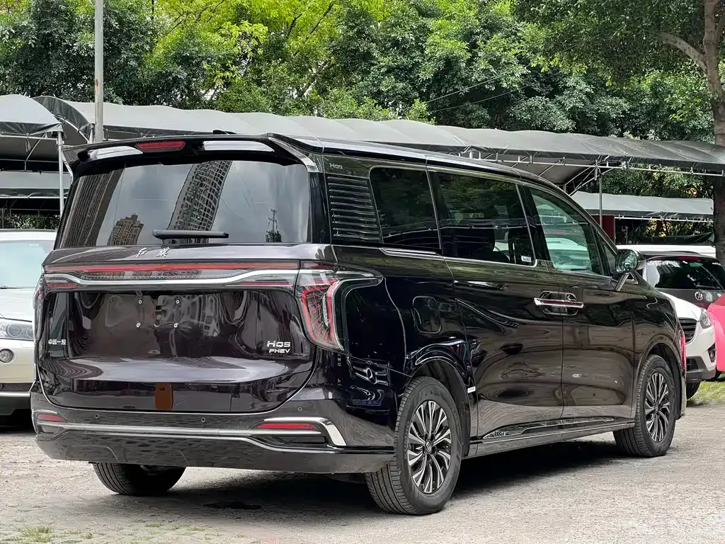 Hongqi HQ9 PHEV 2024 из CN, фото 9