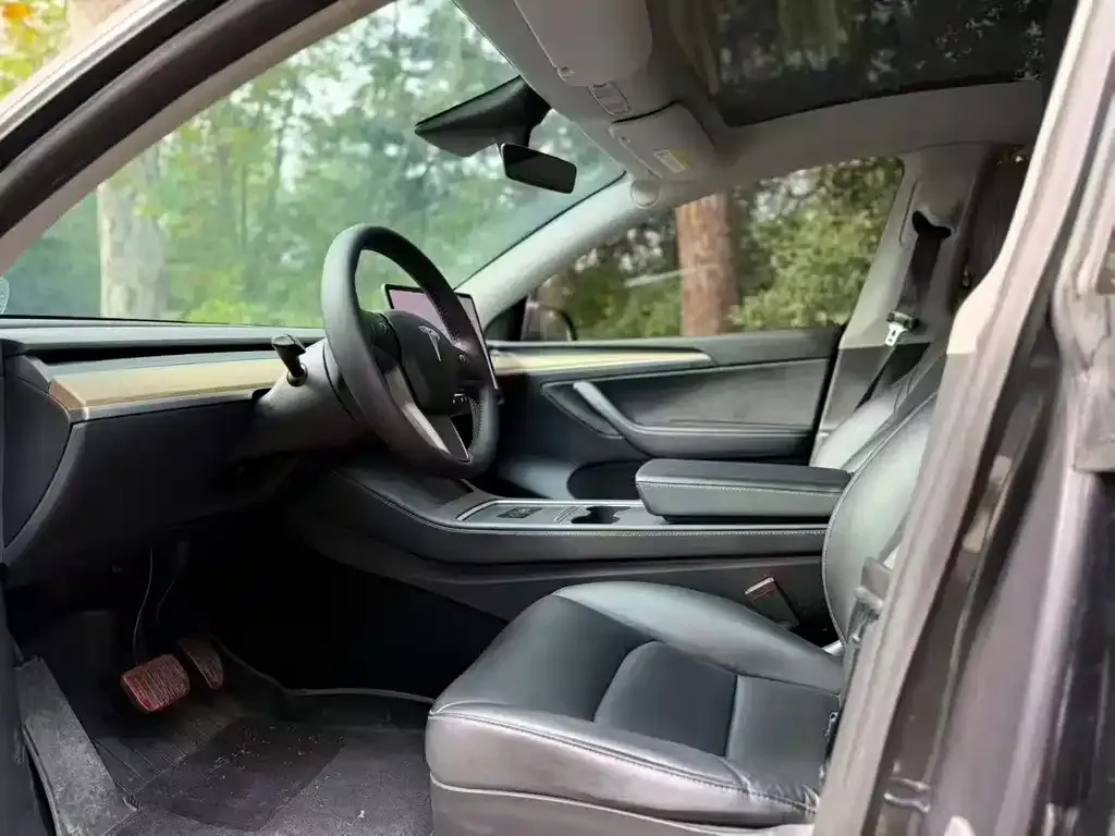 Tesla Model 3 2021 из CN, фото 5