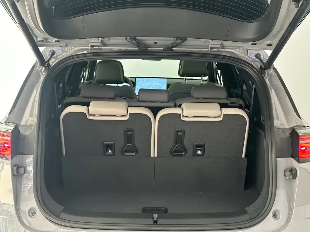 BYD Tang New Energy 2025 из CN, фото 10