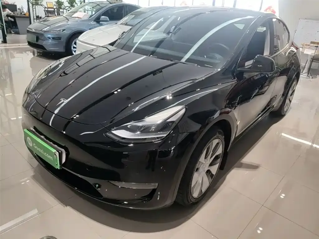 Tesla Model Y — фото 10