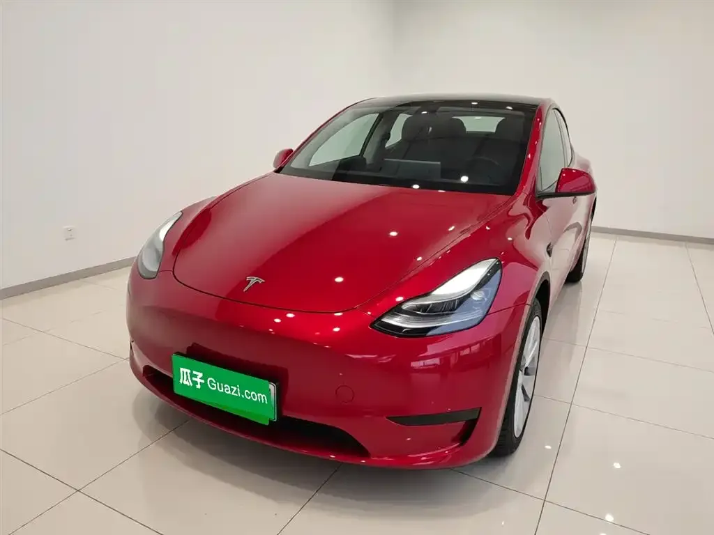 Tesla Model Y — фото 1