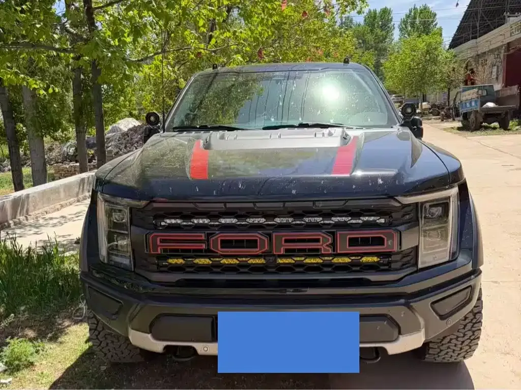Ford F-150 Raptor — фото 1