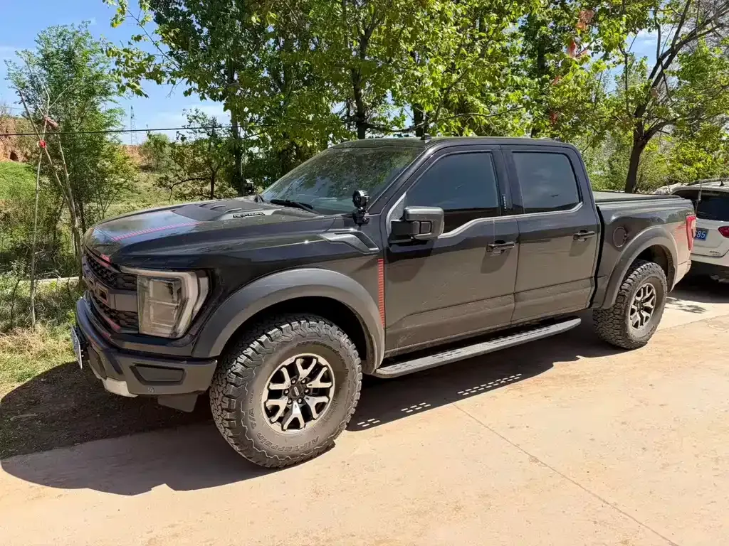Ford F-150 Raptor — фото 8